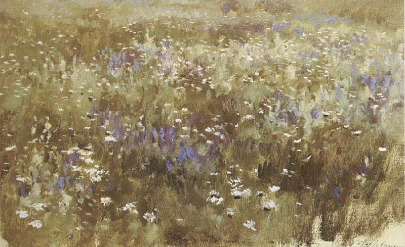 Levitan, Isaak Bluhende meadow oil painting picture